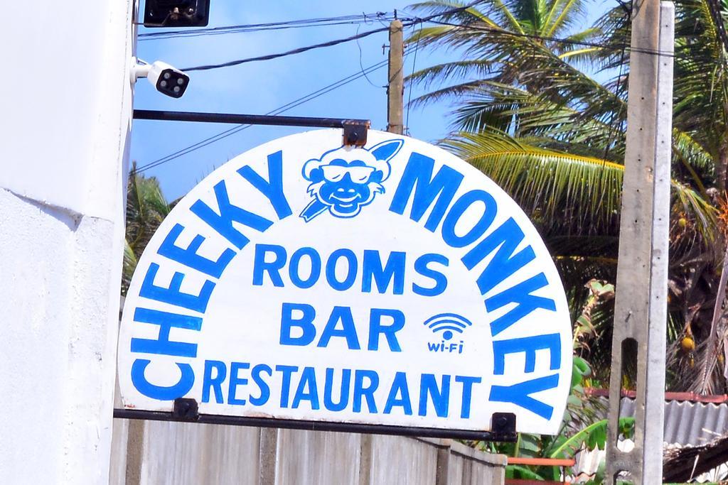 Cheeky Monkey Surf Camp Weligama Exterior photo